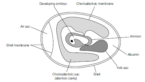 1576_Use of other systems.png